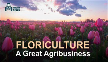FLORICULTURE: A Great Agribusiness 