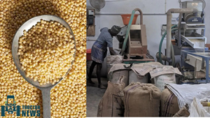 UP Govt. To Provide Millet Processing Units On 100% Subsidy