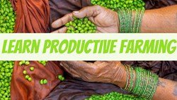 8 Tips to Improve Your Farm Productivity