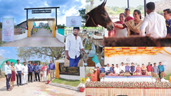 Have You Heard About "The Donkey Palace"?: Know About This Unique Idea of India's Largest Donkey Farm