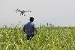 Smart Farming and Youth Employment: PJTSAU to Offer Drone Use Certificate Course