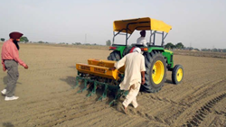 Haryana Farmers to Receive 4000 Cash Incentive to Grow Paddy Using DSR Technique