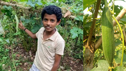 Success Story of a 12-Year-Old Farmer Amith K Biju: Remarkable Journey from Boredom to Bounty in Agriculture