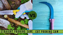 Straight Vs Curved Pruning Saws- Choosing the Right Pruning Saw