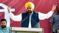 Special 'Girdawari' To Assess Crop Loss To Be Completed Within a Week, Says Punjab CM Mann To Officials