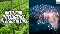 Artificial Intelligence- A New Tool To Enhance Efficiency ,Sustainability and Crop Yields