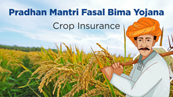 PMFBY Crop Insurance Scheme Witness Record 25 Million Farmer Enrollment in 6 Years