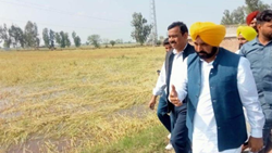 Farmers To Get Compensated For Crop Loss, Assures Punjab CM Bhagwant Mann