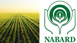 NABARD Advocates Drone-Based Services in Rice Cropping