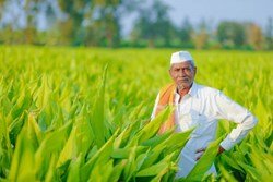 Climate Change And The Indian Farms