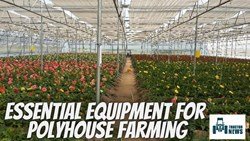 5 Essential Polyhouse Farming Equipment Every Grower Needs