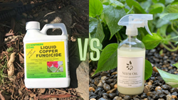 Copper Fungicide Vs Neem Oil: Which Is Best For Your Plants?