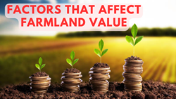 Factors Affecting Farmland Value: What Farmers Need to Know?