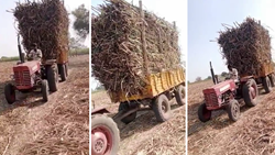 Watch: Anand Mahindra Shares Video of 35 Years Old Robust Mahindra 265 DI Tractor On Twitter