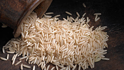 Punjab Agri Dept Aims to Boost Basmati Crop Area by 20% to Reduce Water Consumption