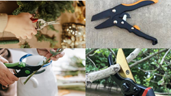 Types of Hand Pruners- Know Which One is Best for You