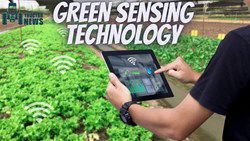 Know All About Green Sensing Technology