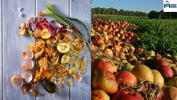 Food Waste Reduction In Agriculture - A Global Issue