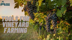 Top Best Tools Used For Vineyard Farming