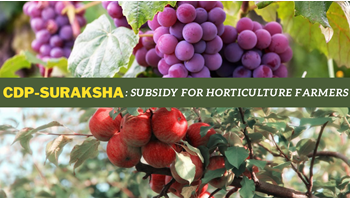 BJP Launches CDP-SURAKSHA: Horticulture Farmers to Get Subsidy Through this Digital Platform Now