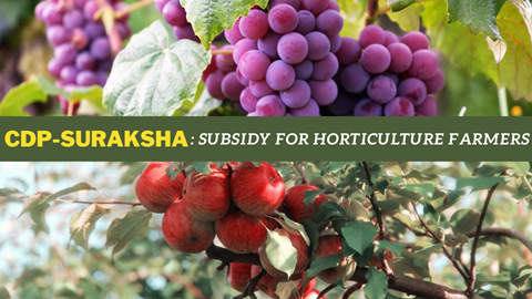 BJP Launches CDP-SURAKSHA: Horticulture Farmers to Get Subsidy Through this Digital Platform Now