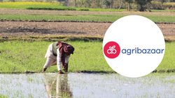 Agribazaar Launches Pilot Project in Crop Advisory Segment, Benefitting 3,000 Farmers