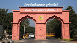  Punjab Agricultural University Develops Contingency Plan to Aid Flood-Affected Farmers