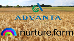 Advanta and nurture.farm Introduces Nutrifeed Germination Scheme to Safeguard Forage Crop Farmers