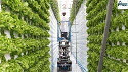 Vertical Farming-The New Age Technology With New Innovation