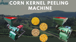 Corn Kernel Peeling Machine: Introduction, Applications, & Benefits 