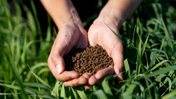 Bio-Organo-Chemical Fertilizers: A Sustainable Alternative to Traditional Chemical Fertilizers