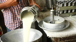 Dairy Farming And Its Pros & Cons in India - Know In Detail