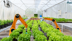 “Possibility of Modern Technology Replacing Human Labor”- Is the Future of Farming Automated ? 