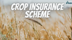 Crop Insurance Scheme- Get Agricultural Benefits and Assured Financial Stability