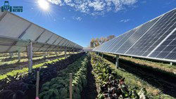 Solar Energy - The Next Step Towards Sustainable Farming