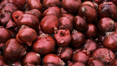 Government to Procure  5 Lakh Tonnes of Rabi Onions from Farmers for a Stable Retail Price