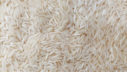 Explainer: Why India Banned Export of Non-Basmati White Rice?