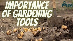 Importance of Gardening Tools