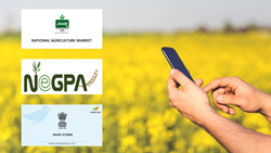 Information Technology in Agriculture: Govt's Digital Strategies to Revolutionize Indian Agriculture