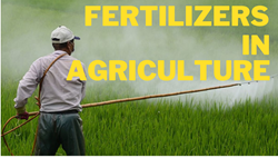 Know Everything About Fertilizers and Their Importance in India