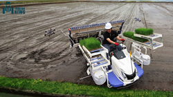 Advantages of Using A Rice Transplanter Machine In Agriculture