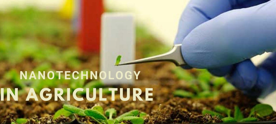 Nanotechnology In Agriculture