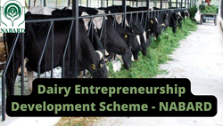 Wanna know how to get Nabard Subsidy for Dairy Farming ?