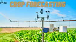 Crop Forecasting: Its Benefits And Importance In Agriculture