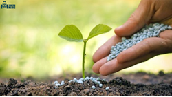 Top Agri Fertilizer Companies in India For A Better Farming