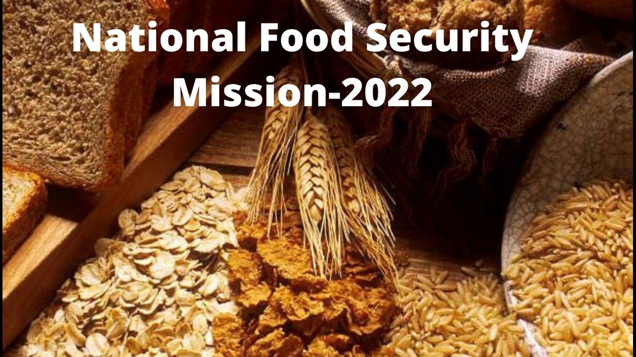 objectives-of-national-food-security-mission-indian-bureaucracy