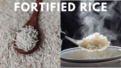 What is Fortified Rice & Its Impact on Public Health? - Need, Govt Implementation, & Benefits