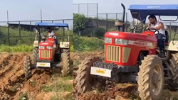 From Cricket to Crops: MS Dhoni Reveals Why He Started Doing Farming- Watch Video