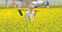 6 important government schemes in Agriculture sector