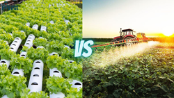 Organic Farming Vs Conventional Farming – Advantages and Disadvantages